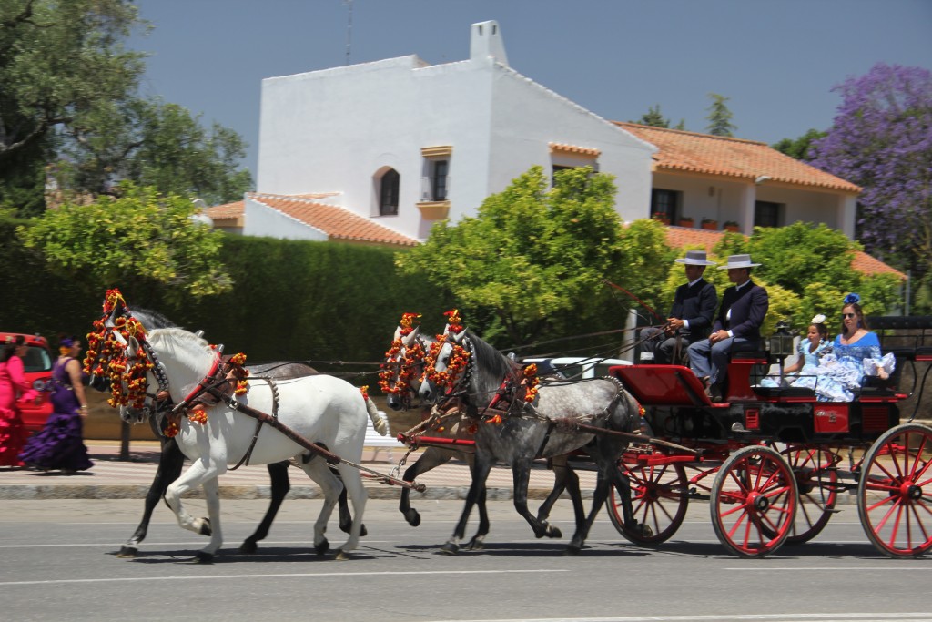 Foto de Jerez de la Frontera (Cádiz), España