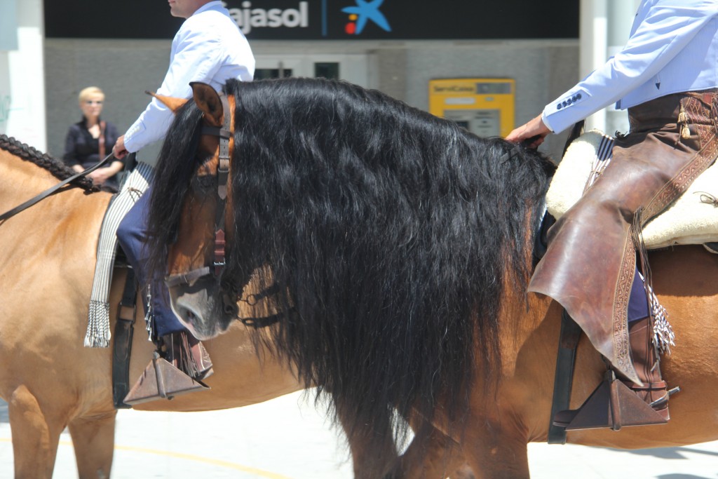 Foto de Jerez de la Frontera (Cádiz), España