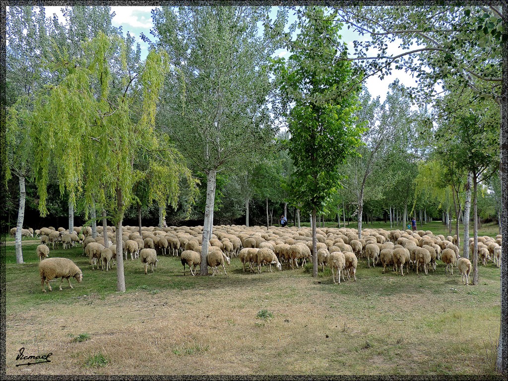 Foto: 140525-25 PARQUE DEL AGUA - Zaragoza (Aragón), España