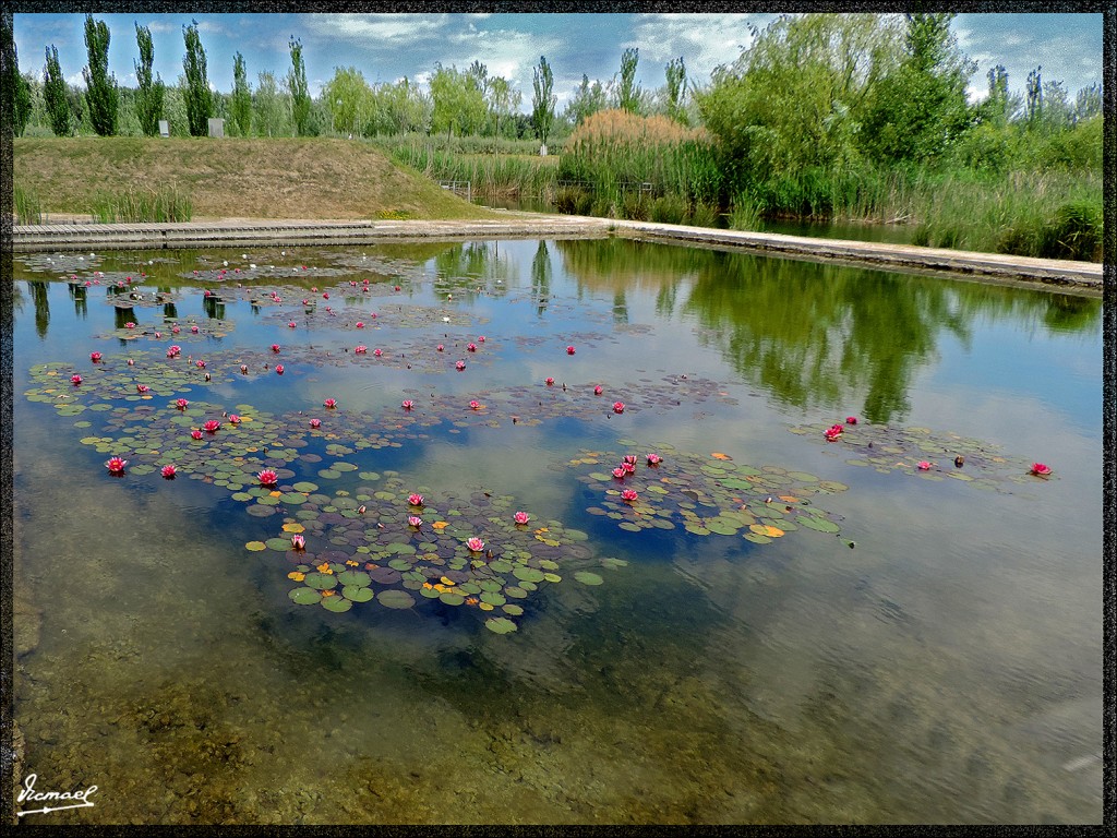 Foto: 140525-44 PARQUE DEL AGUA - Zaragoza (Aragón), España