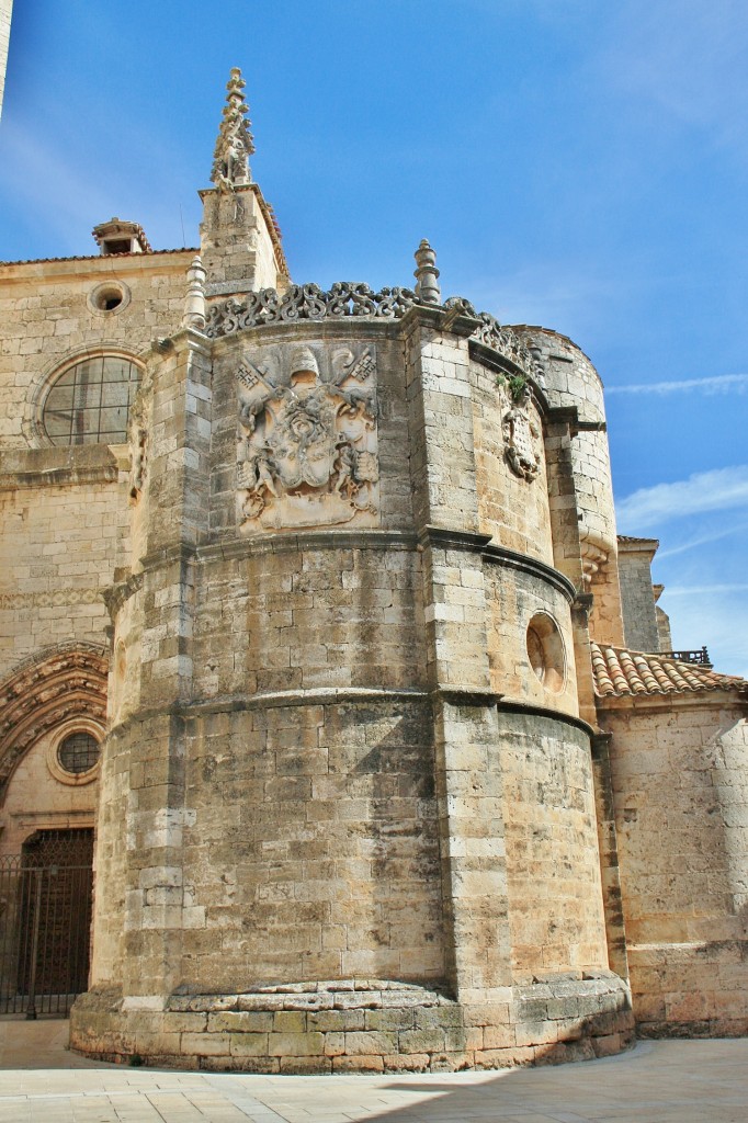 Foto: Catedral Santa Maria de la Asunción - El Burgo de Osma (Soria), España