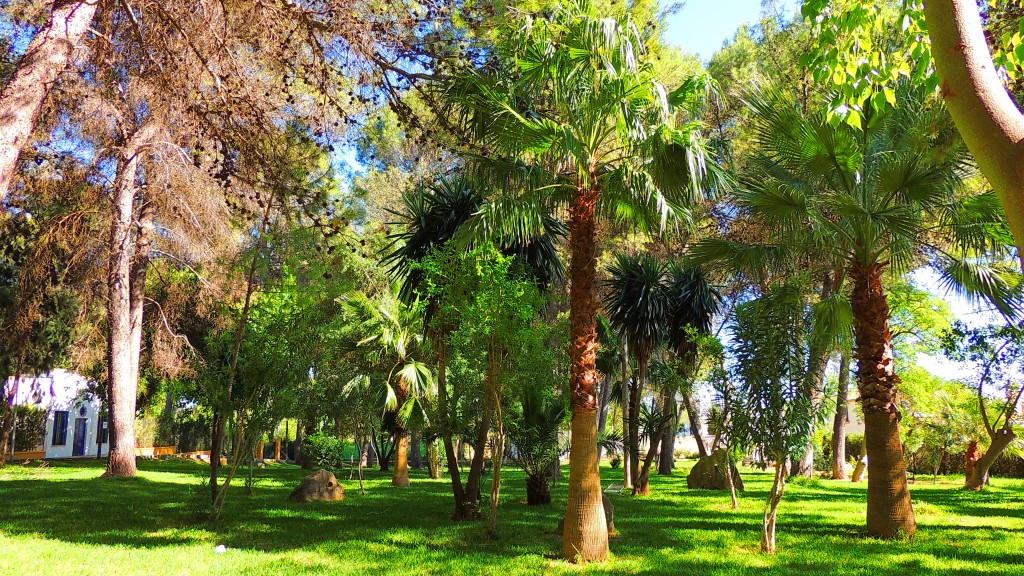 Foto de Guadalema de los Quinteros (Sevilla), España