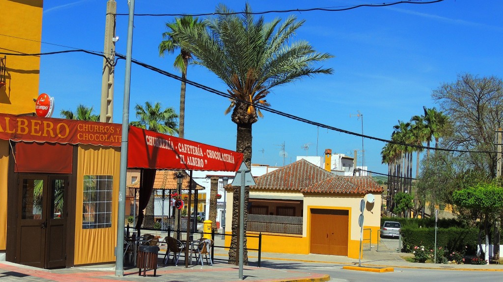 Foto: El Albero - El Palmar de Troya (Sevilla), España