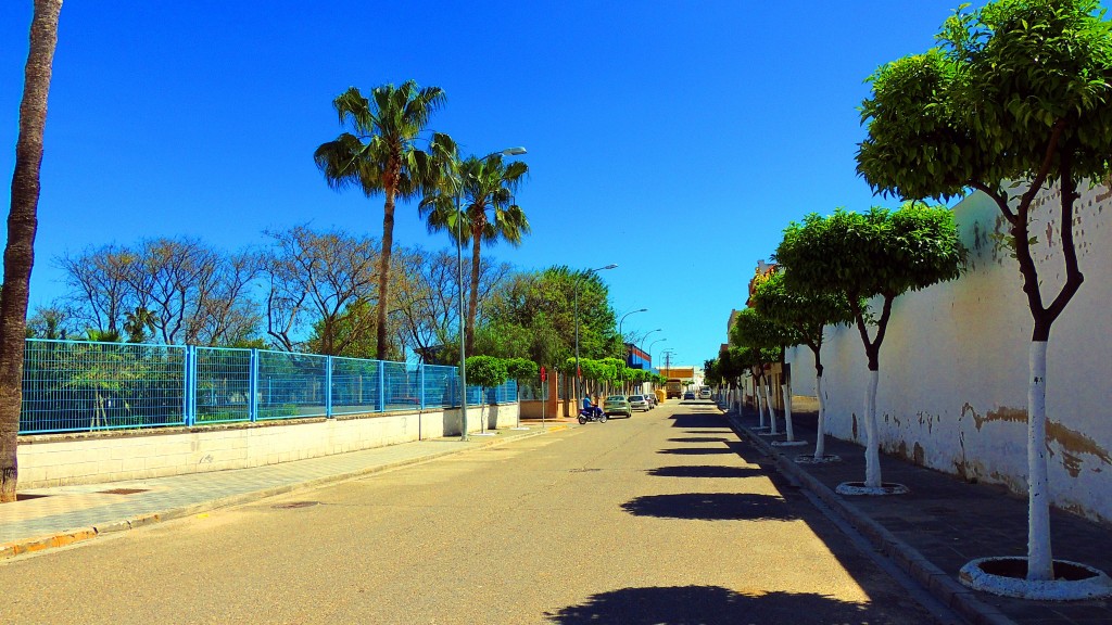 Foto: Calle Geranio - El Palmar de Troya (Sevilla), España