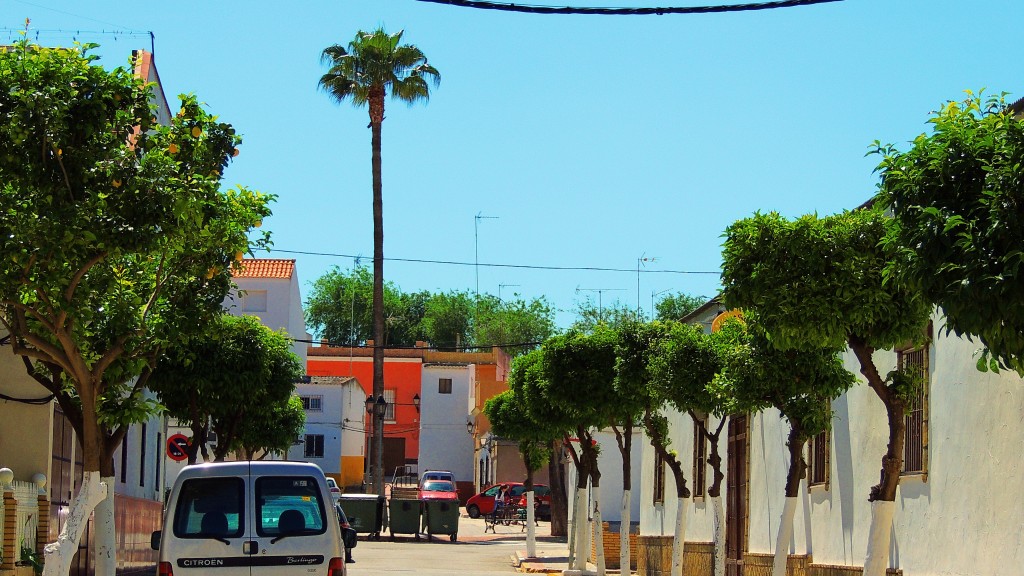 Foto: Calle Petunia - El Palmar de Troya (Sevilla), España