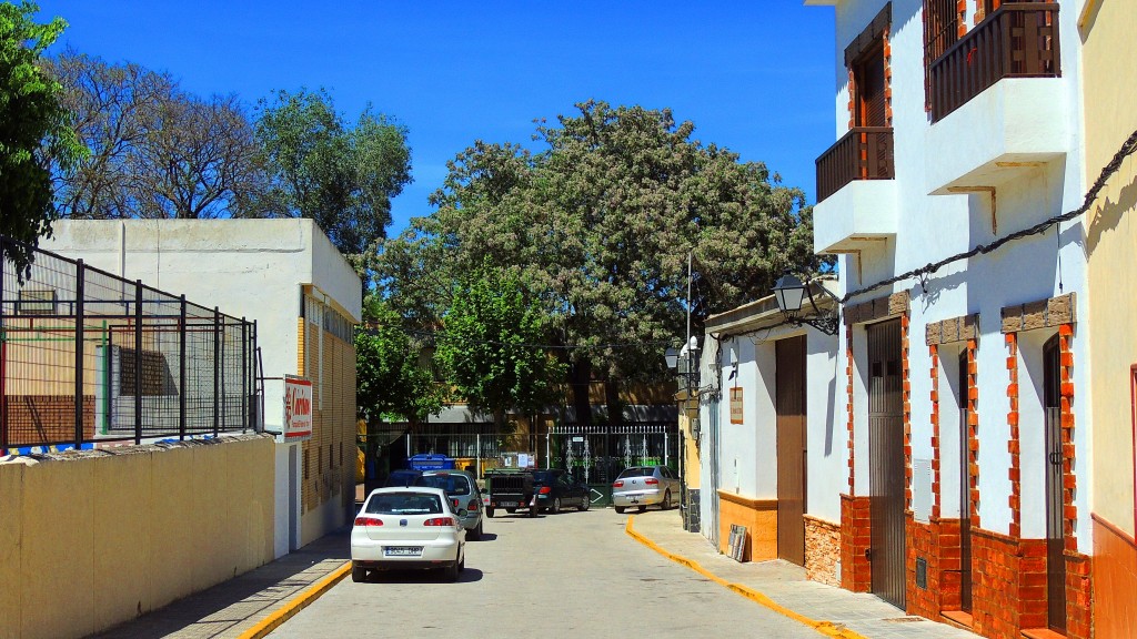 Foto: Calle Dalia - El Palmar de Troya (Sevilla), España