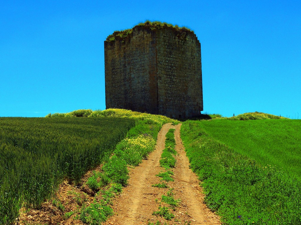 Foto: Torre del Aguila - El Palmar de Troya (Sevilla), España