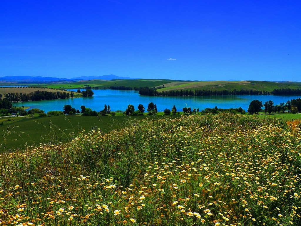 Foto: Embalse Torre del Aguila - El Palmar de Troya (Sevilla), España