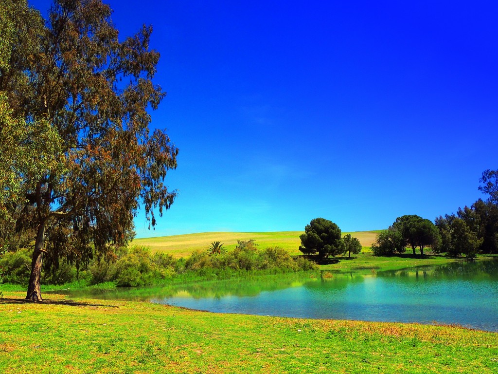 Foto: Pantano Torre del Aguila - El Palmar de Troya (Sevilla), España