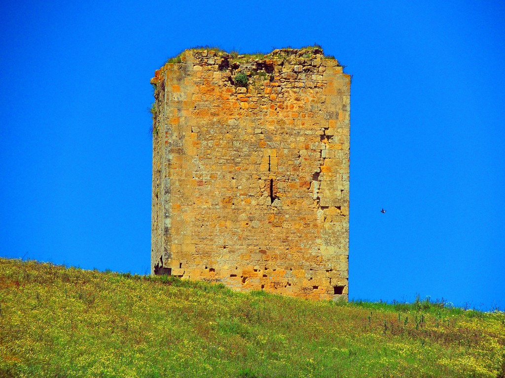 Foto: Torre del Aguila - El Palmar de Troya (Sevilla), España