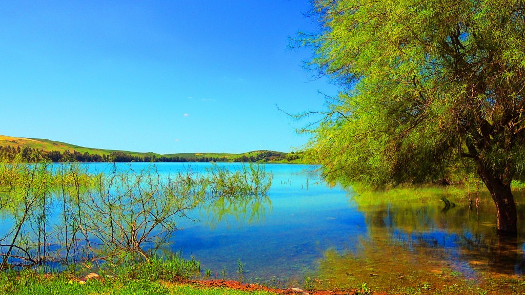 Foto: Pantano Torre del Aguila - El Palmar de Troya (Sevilla), España