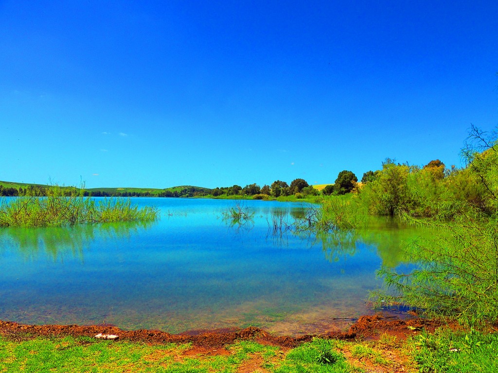 Foto: Pantano Torre del Aguila - El Palmar de Troya (Sevilla), España