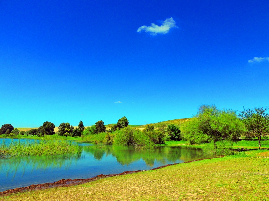 Foto: Pantano Torre del Aguila - El Palmar de Troya (Sevilla), España