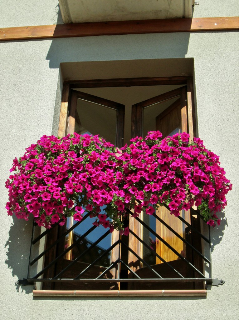 Foto: Balcón - Frias (Burgos), España