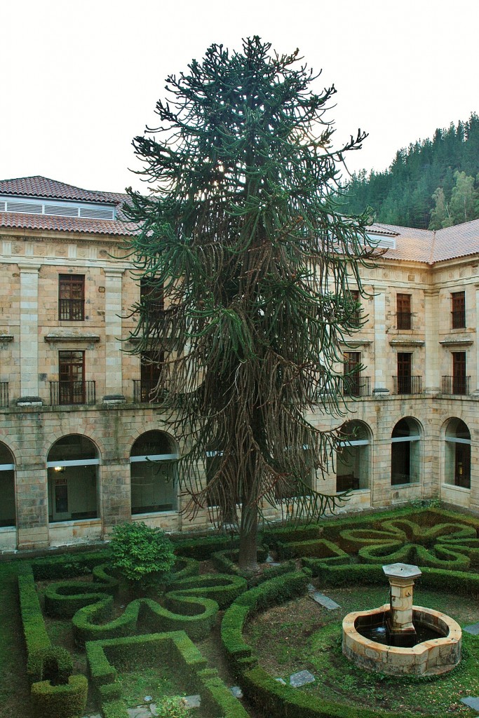 Foto: Monasterio - Corias (Asturias), España