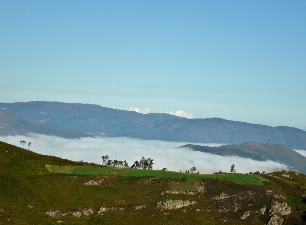 Foto: Paisaje - Corias (Asturias), España