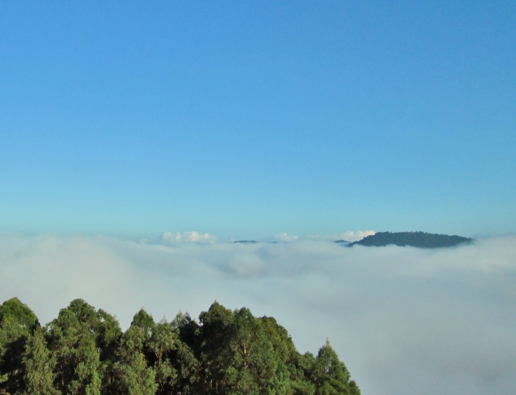 Foto: Paisaje - Corias (Asturias), España