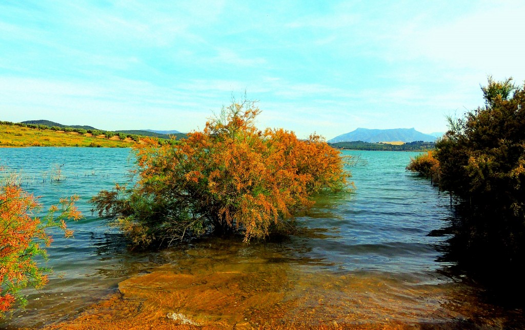 Foto: Embalse de Guadalteba - Ardales (Málaga), España