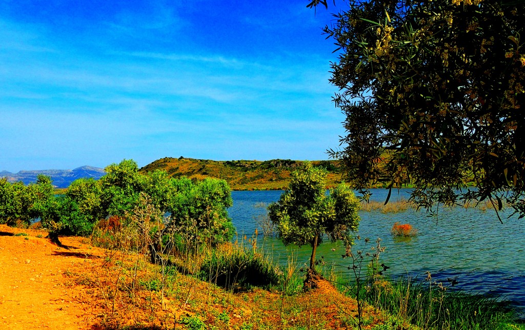 Foto: Embalse de Guadalteba - Ardales (Málaga), España