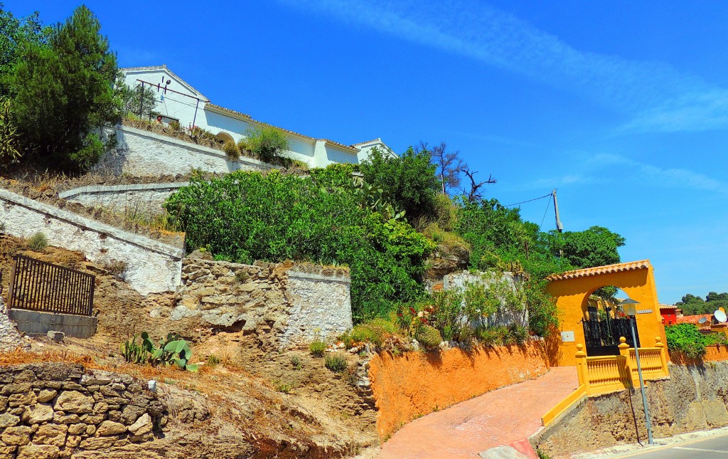 Foto: Alegrias - Ardales (Málaga), España