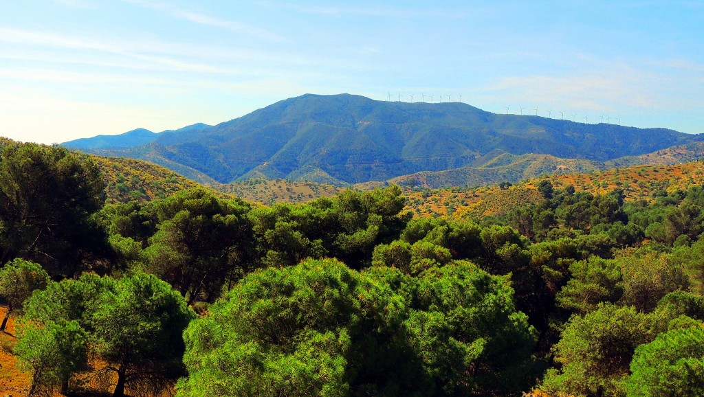 Foto de Ardales (Málaga), España