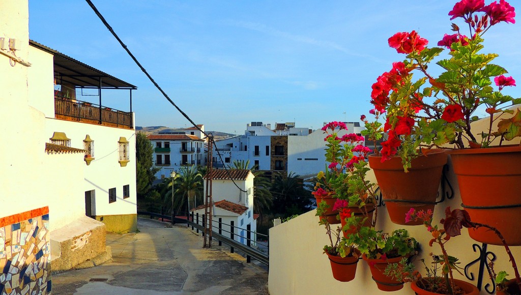 Foto: Macetas - Ardales (Málaga), España