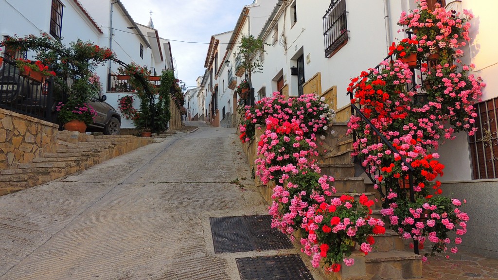 Foto: Flores - Ardales (Málaga), España