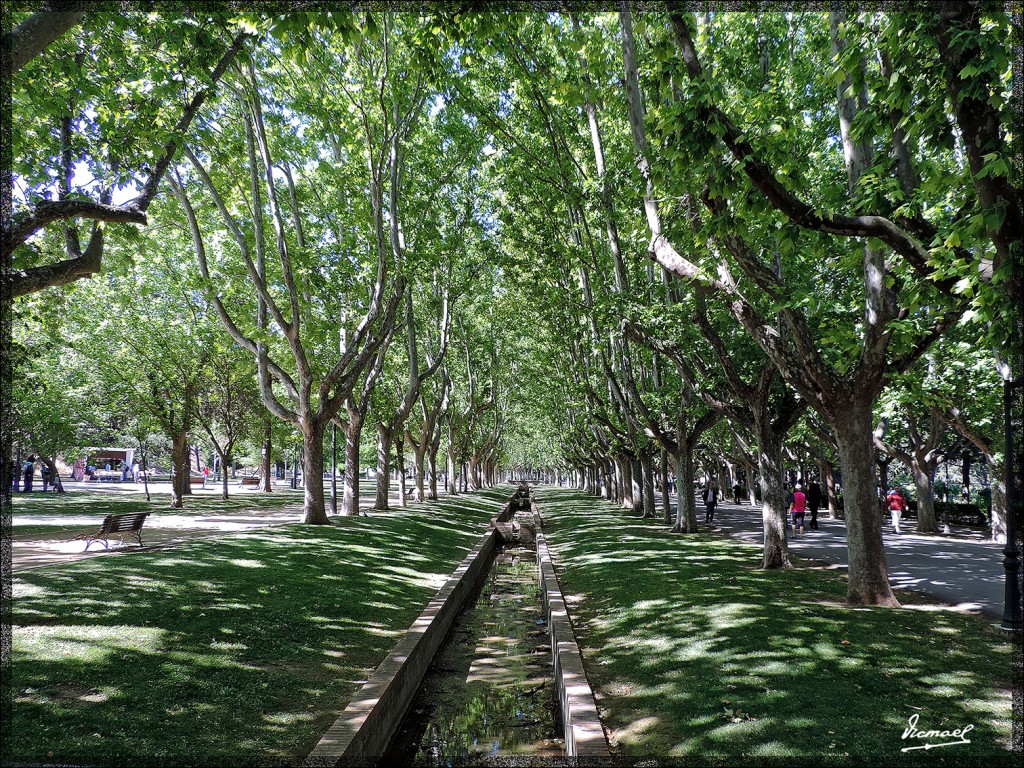 Foto: 140601-06 PARQUE DE ZARAGOZA - Zaragoza (Aragón), España