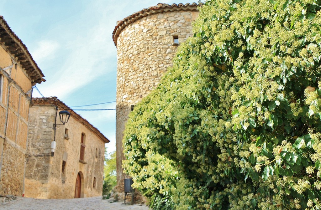 Foto: Centro histórico - Calatañazor (Soria), España