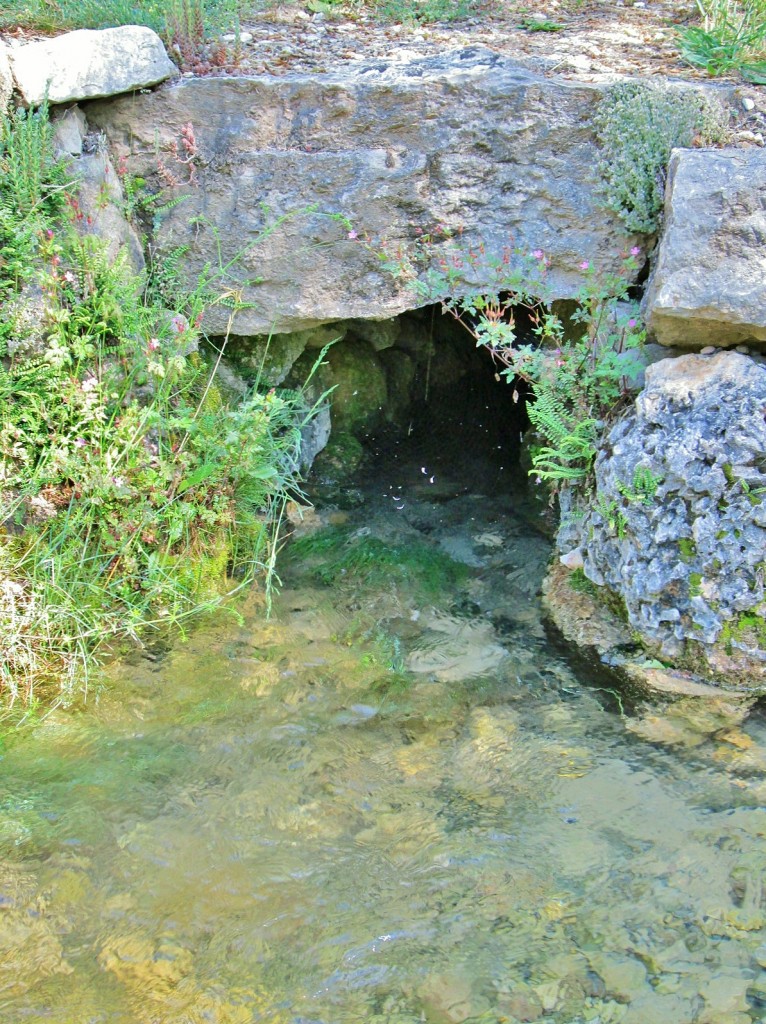 Foto: Nacimiento del rio Cardener - La Coma (Lleida), España