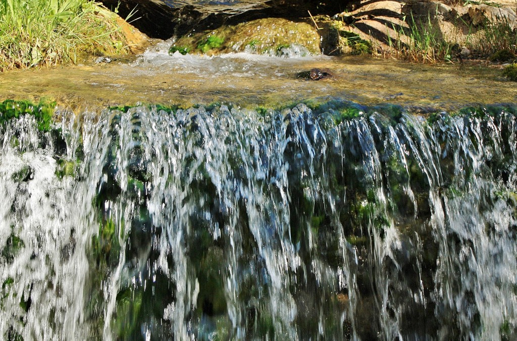 Foto: Nacimiento del rio Cardener - La Coma (Lleida), España