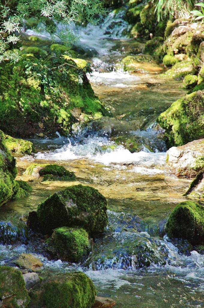 Foto: Nacimiento del rio Cardener - La Coma (Lleida), España