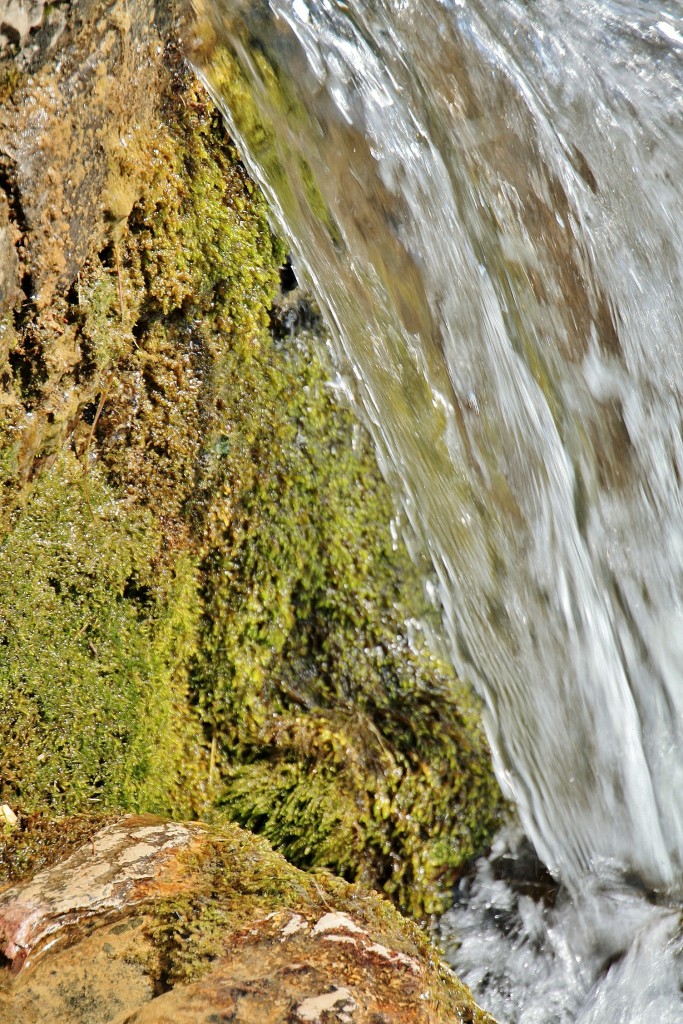 Foto: Nacimiento del rio Cardener - La Coma (Lleida), España