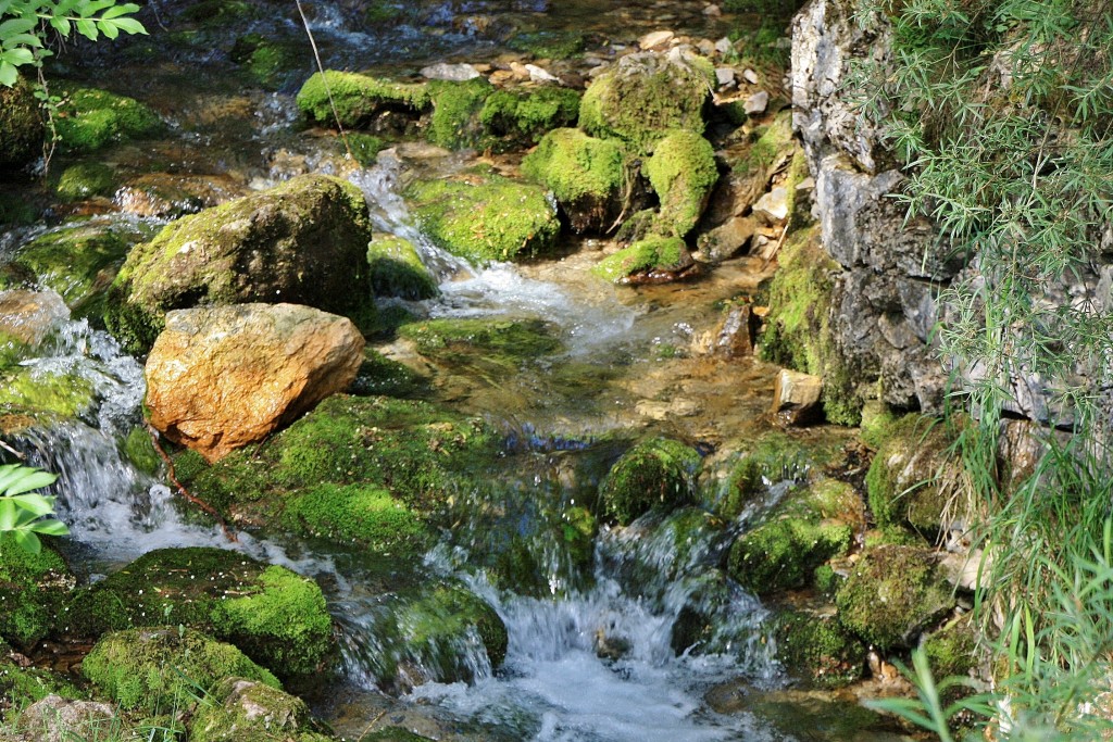 Foto: Nacimiento del rio Cardener - La Coma (Lleida), España