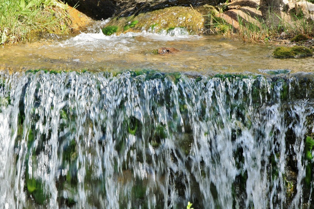 Foto: Nacimiento del rio Cardener - La Coma (Lleida), España