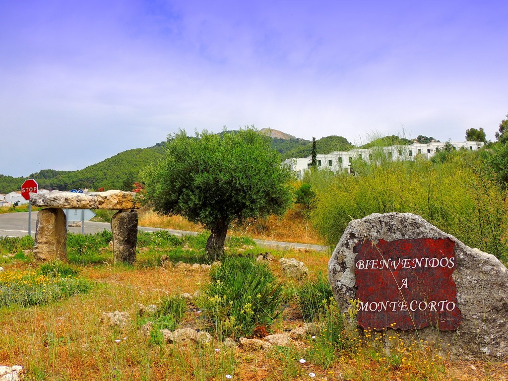 Foto: Rotonda de Entrada - Montecorto (Málaga), España