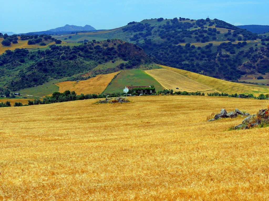 Foto de Montecorto (Málaga), España