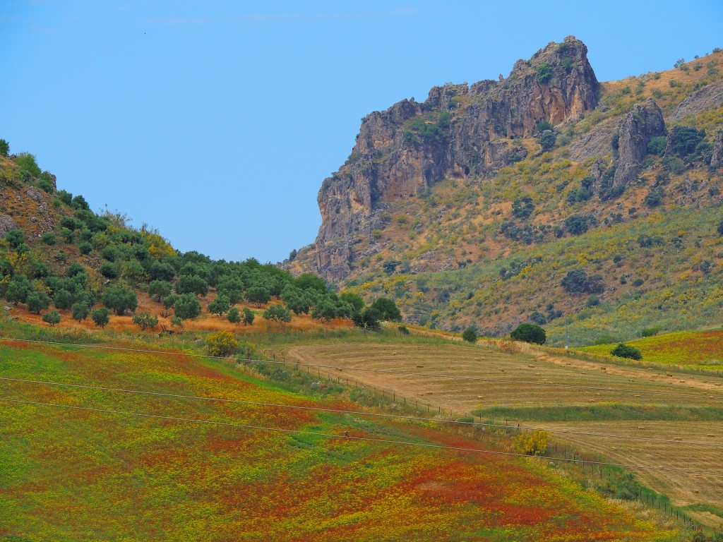 Foto de Montecorto (Málaga), España