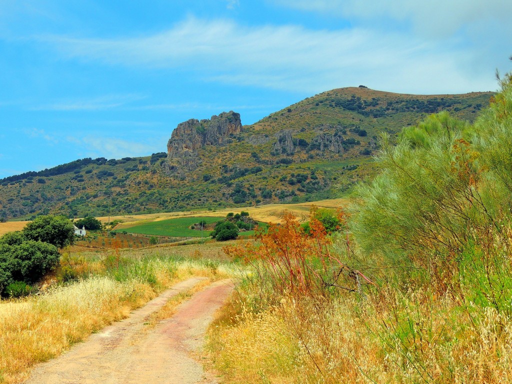 Foto de Montecorto (Málaga), España