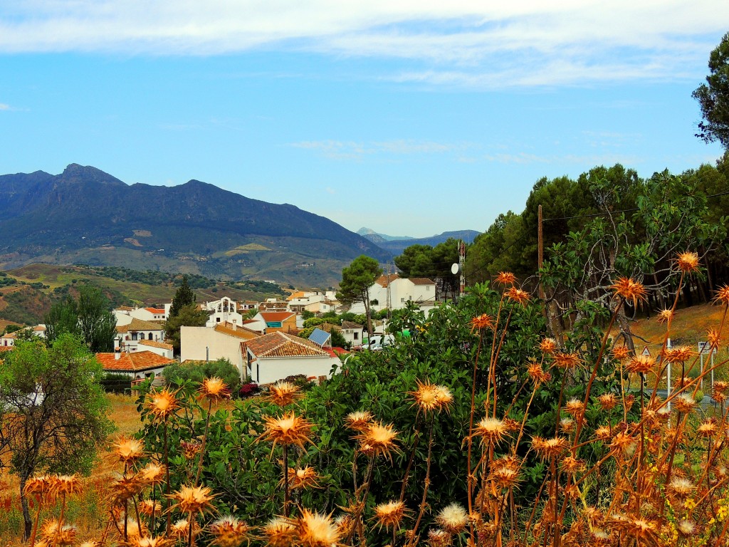 Foto de Montecorto (Málaga), España