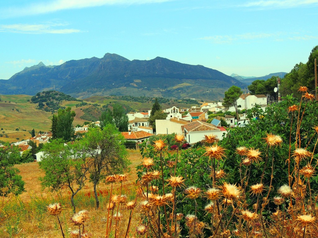 Foto de Montecorto (Málaga), España