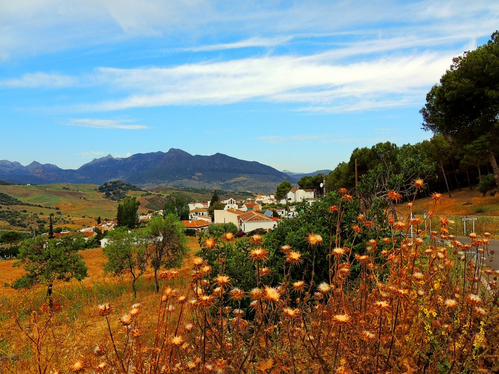 Foto de Montecorto (Málaga), España