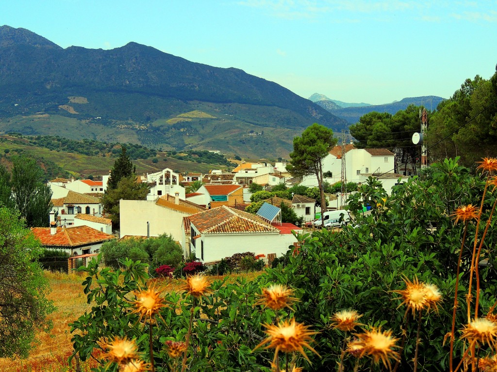 Foto de Montecorto (Málaga), España