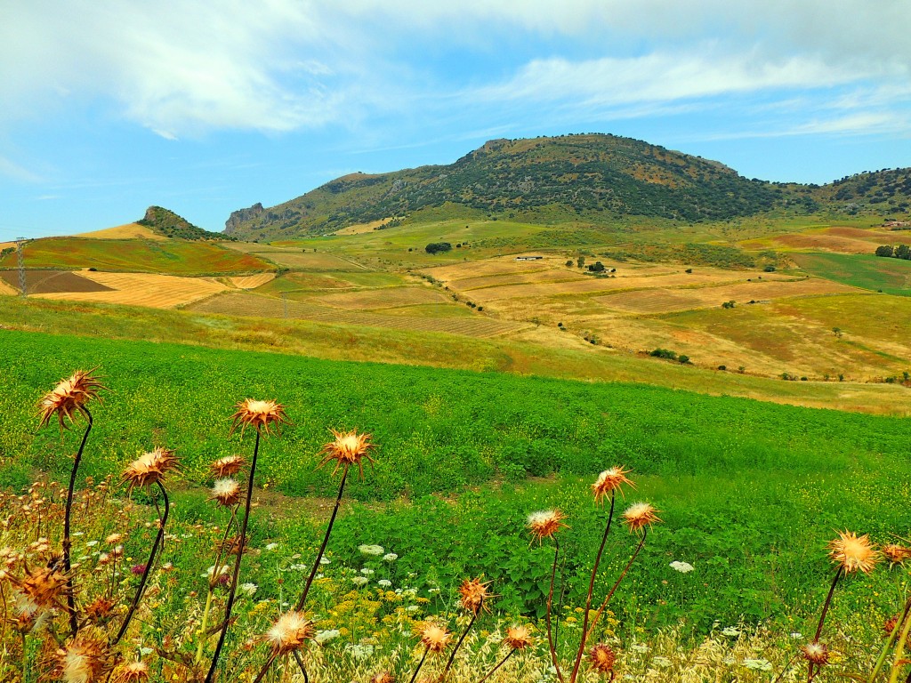 Foto de Montecorto (Málaga), España