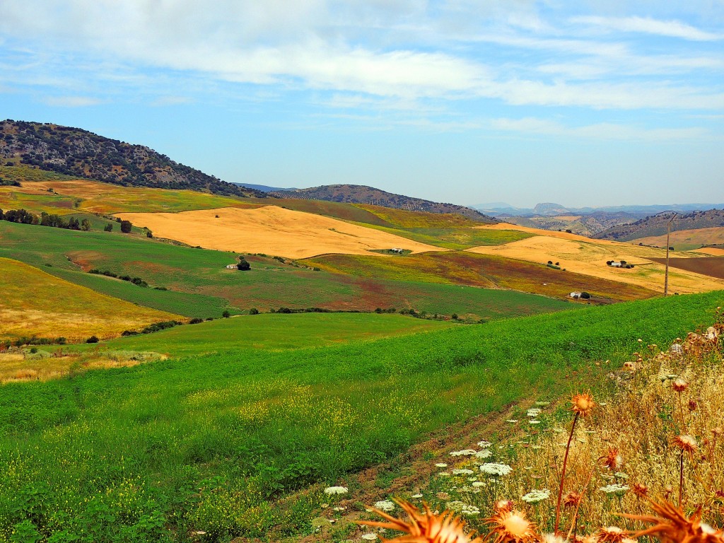 Foto de Montecorto (Málaga), España