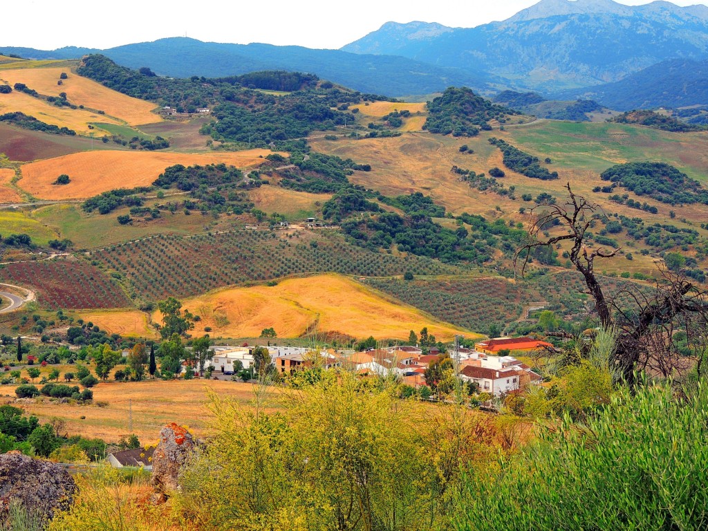 Foto de Montecorto (Málaga), España