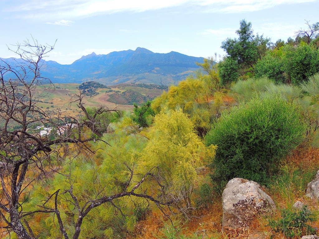 Foto de Montecorto (Málaga), España