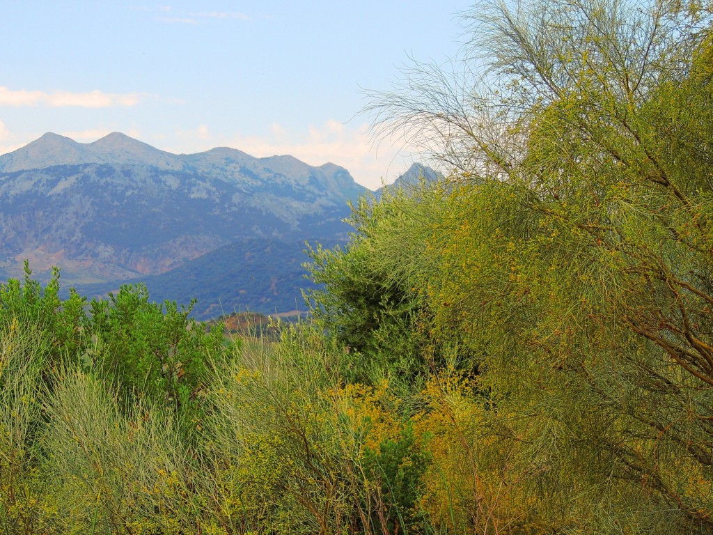 Foto de Montecorto (Málaga), España