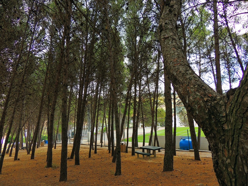 Foto de Montecorto (Málaga), España