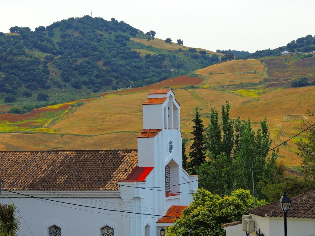 Foto de Montecorto (Málaga), España